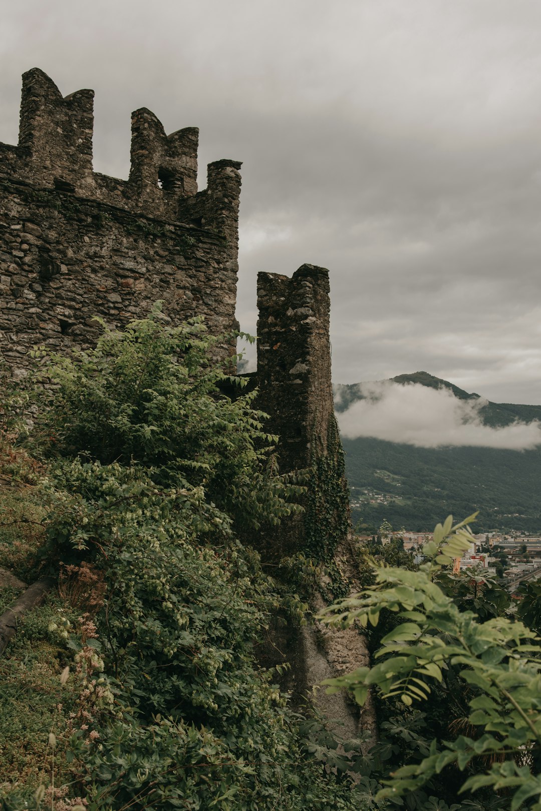 gray concrete castle on top of mountain