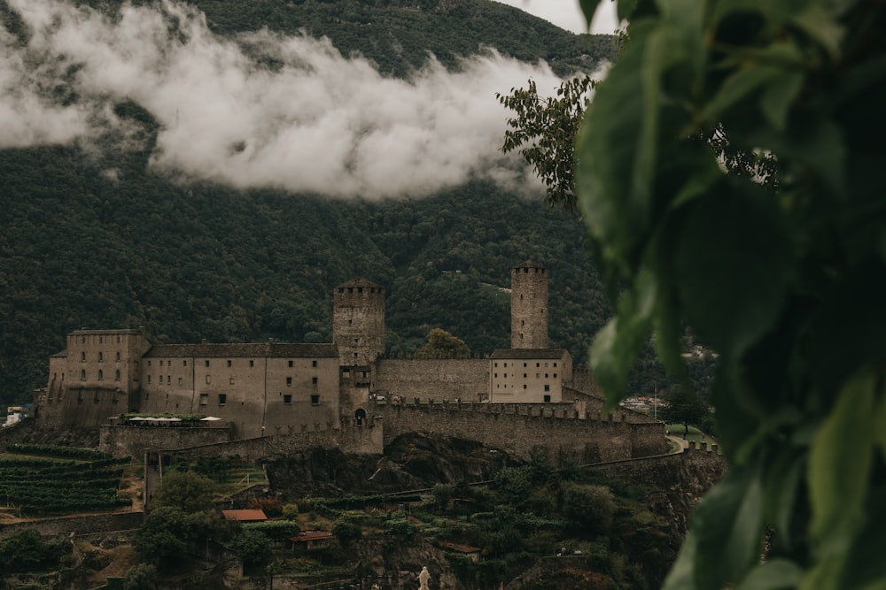 gray concrete castle near green trees during daytime