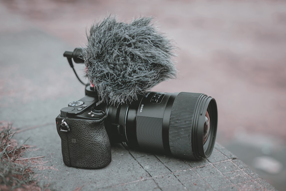 a camera with a furry object on top of it