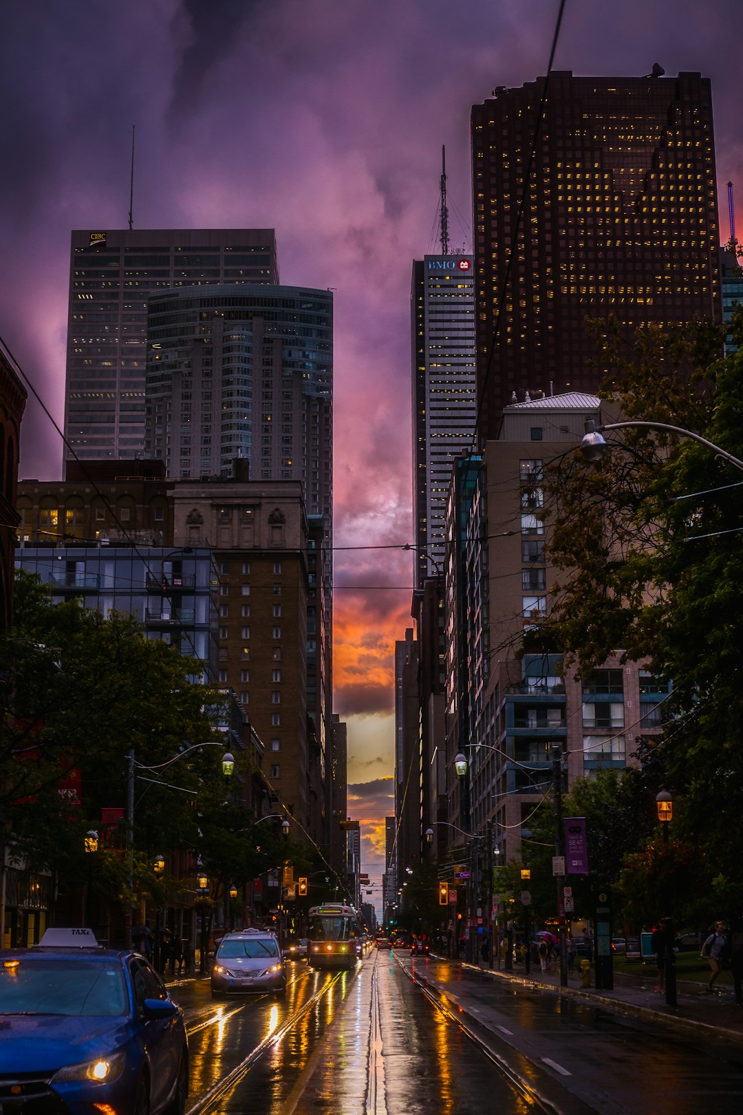 cars on road between high rise buildings during night time