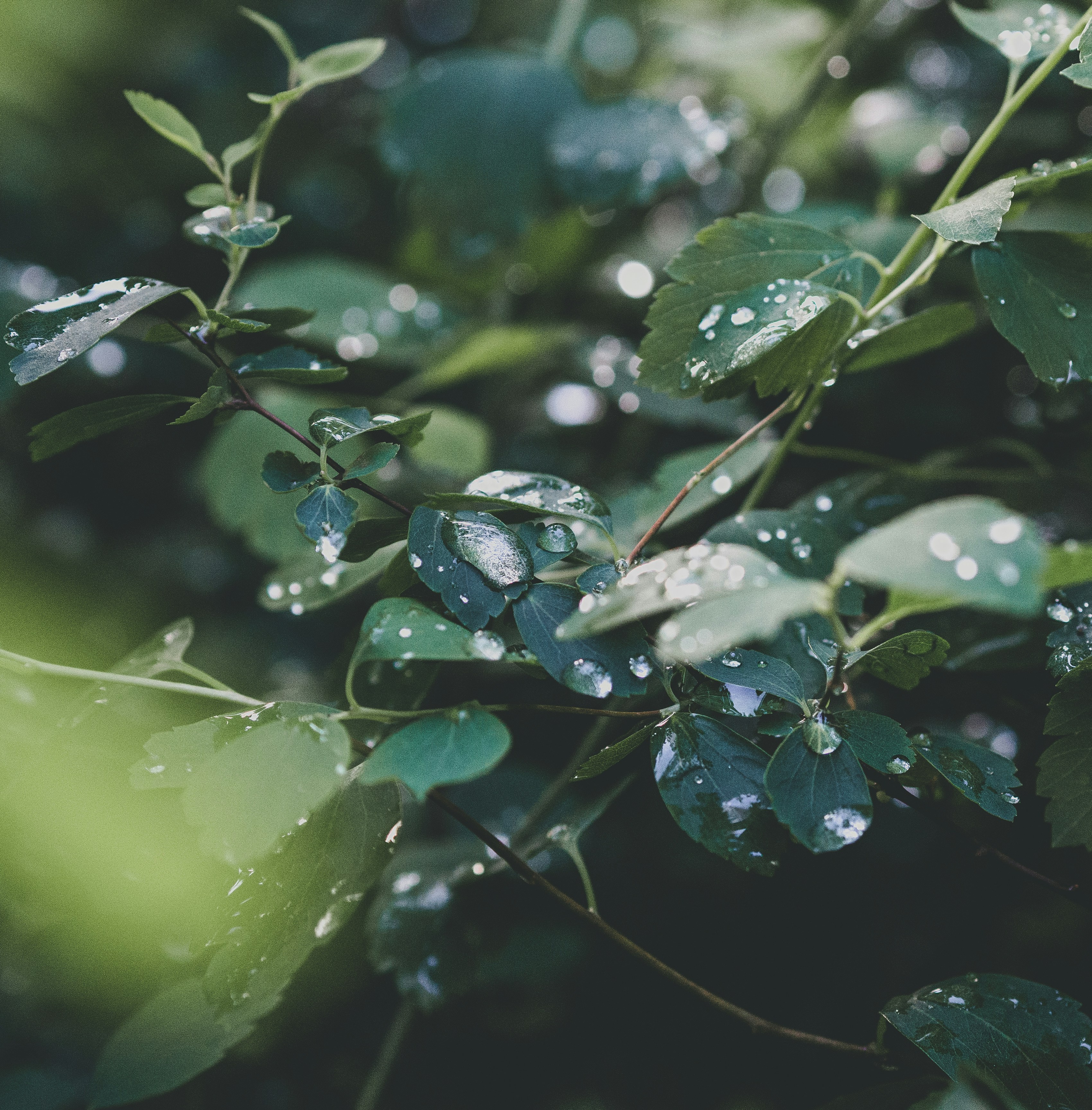 Photo by marta_alexandra