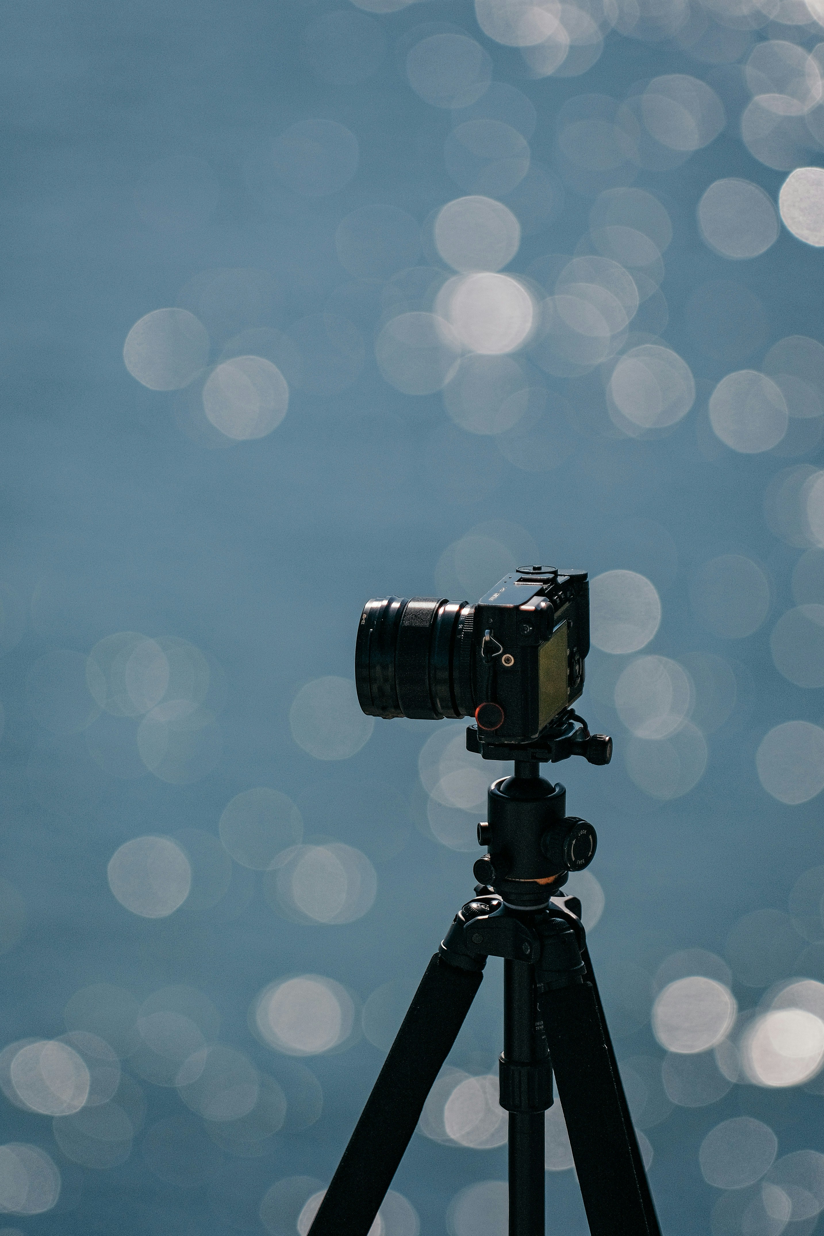 Photo by insungpandora