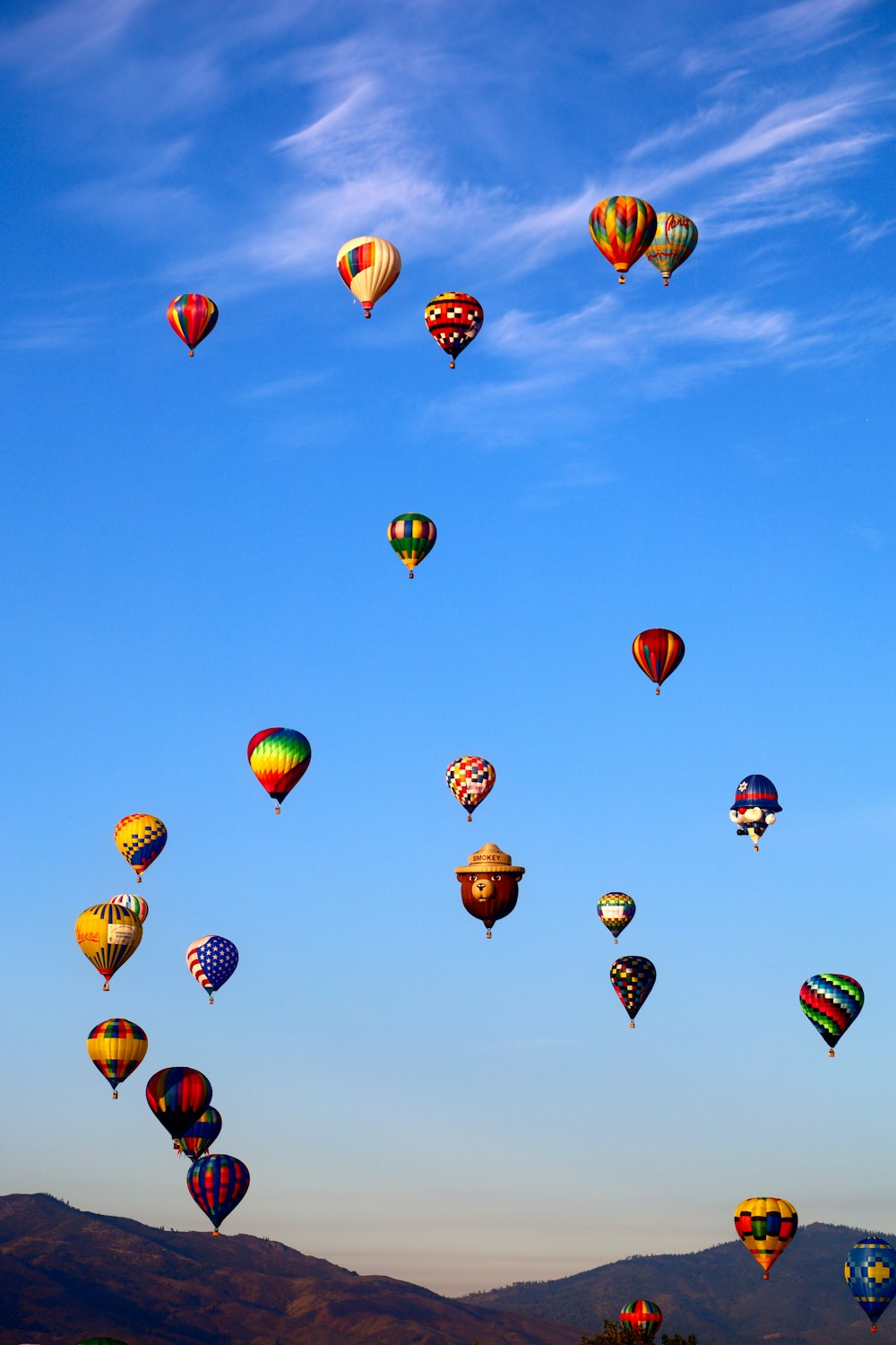 hot air balloons in the sky