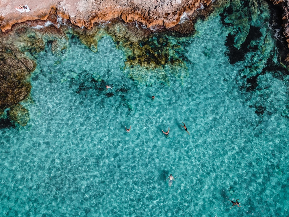 aerial view of body of water during daytime