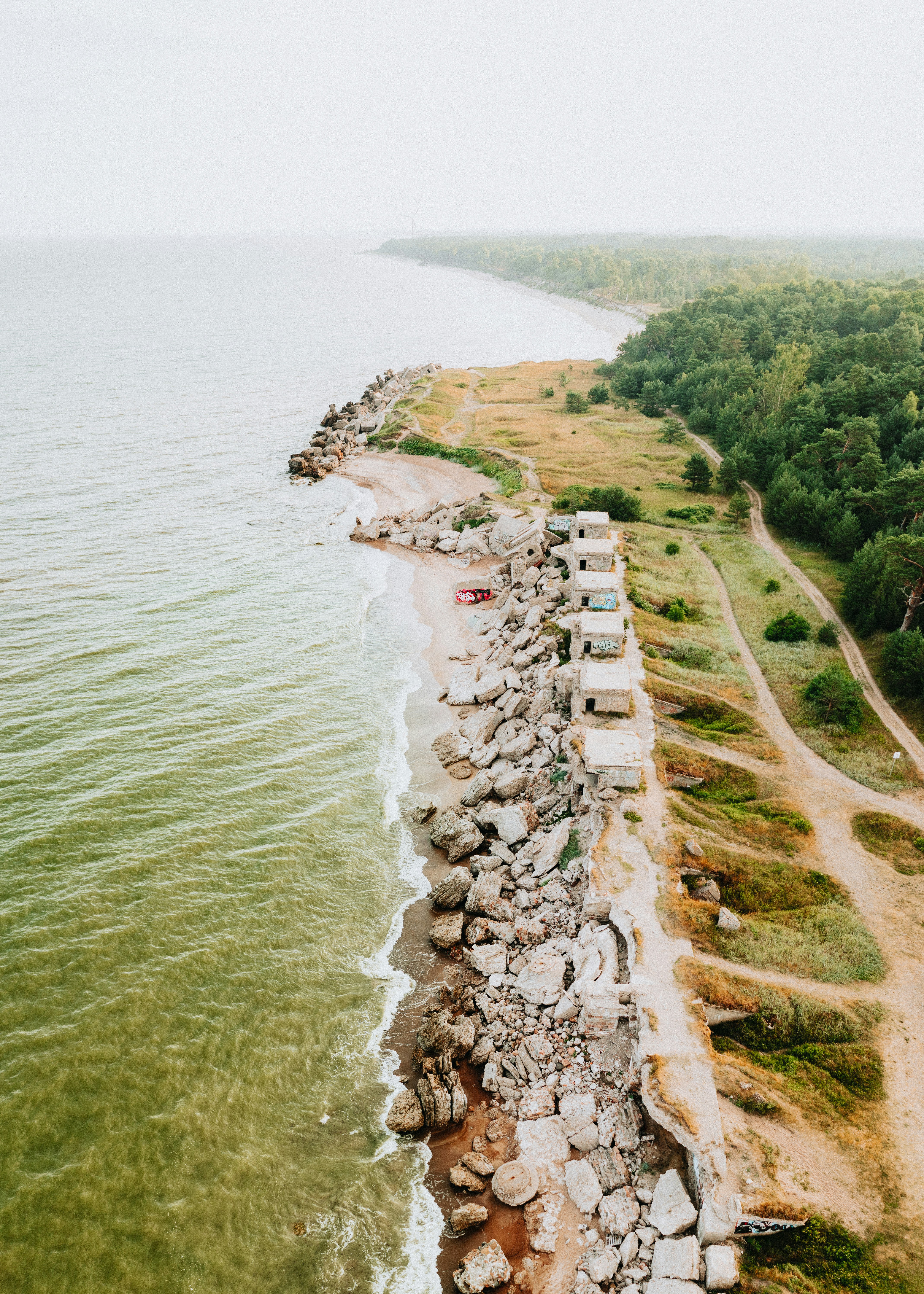green grass field near body of water during daytime