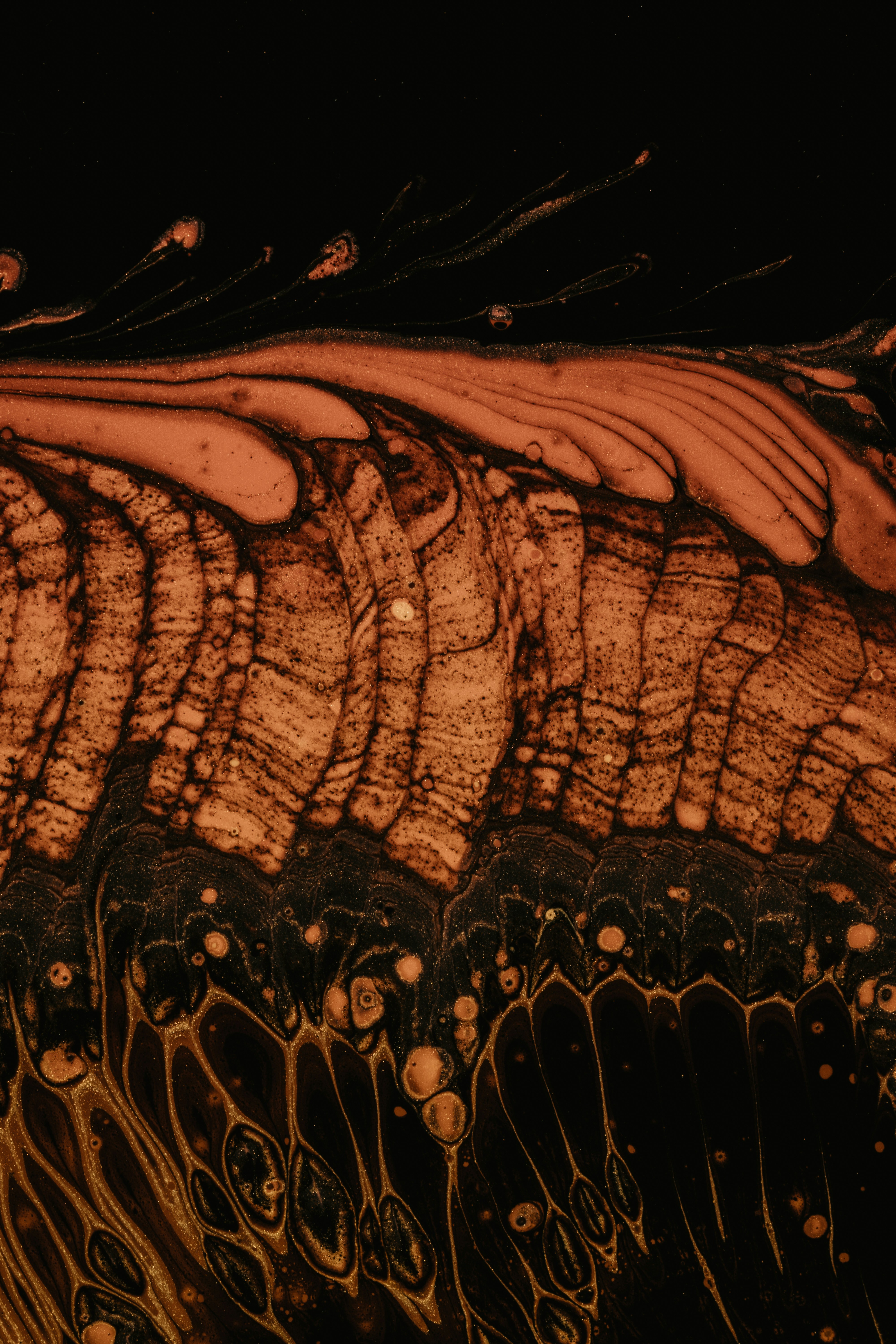 Photo by pawel_czerwinski