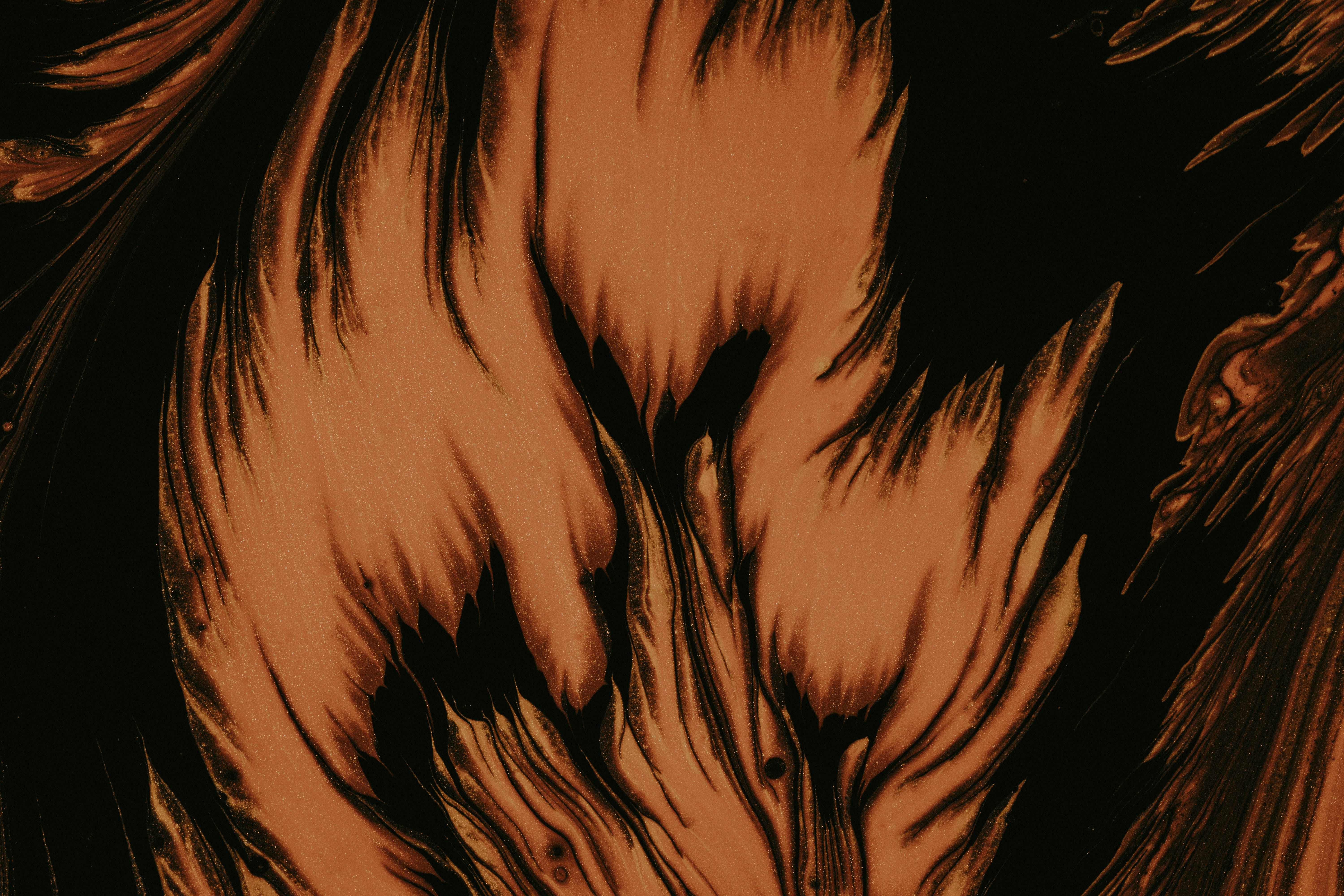 Photo by pawel_czerwinski