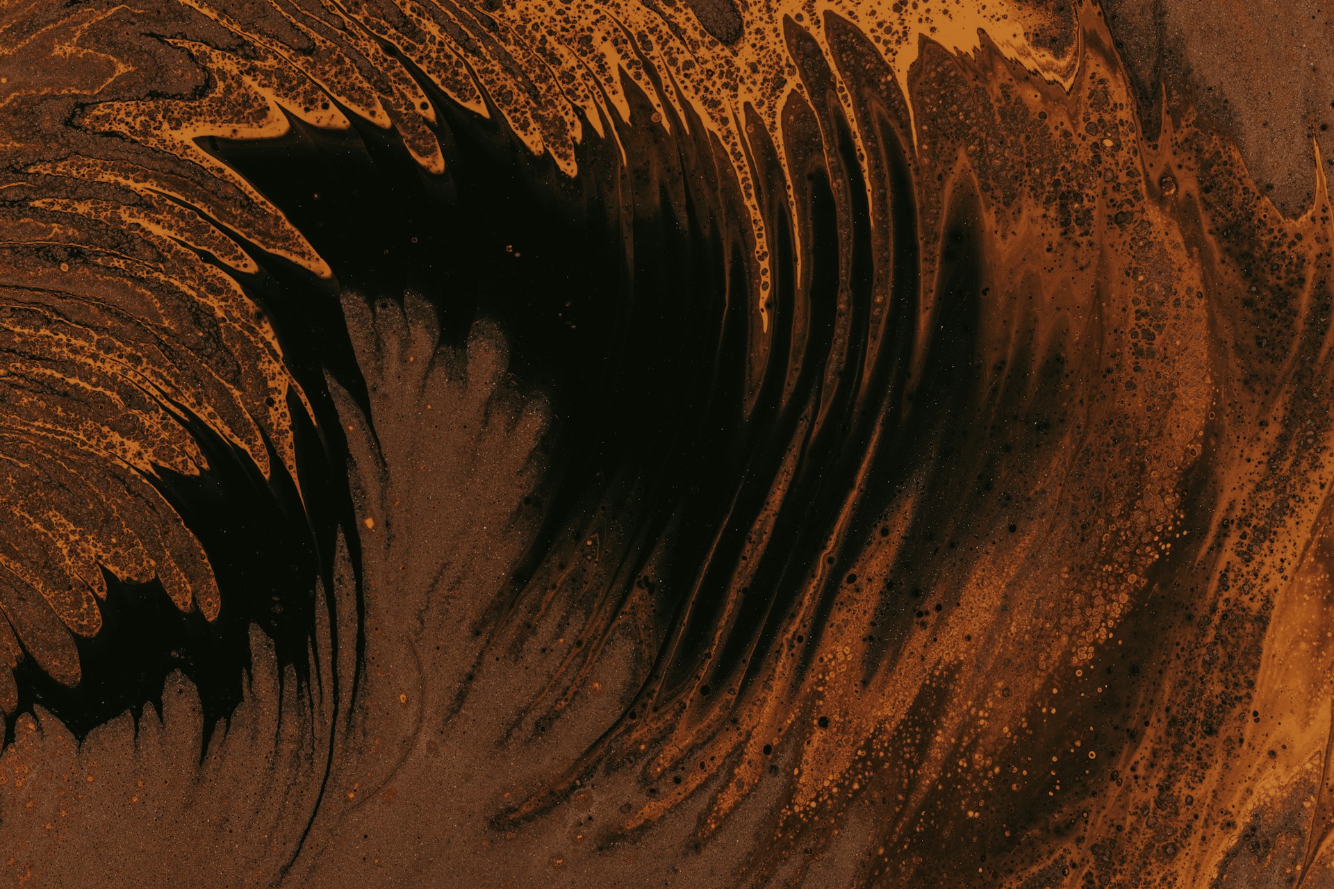 Looking Back to Look Forward: The History of Biotech