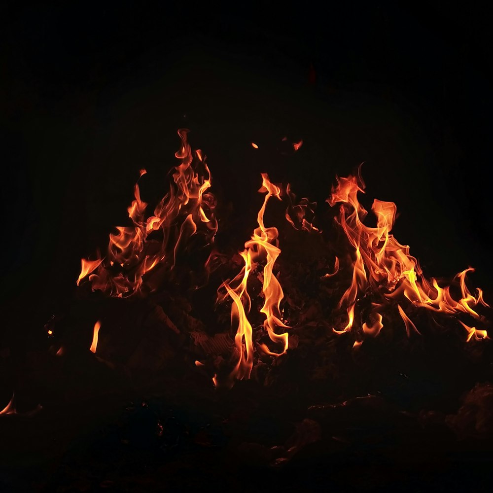 a close up of a fire in the dark