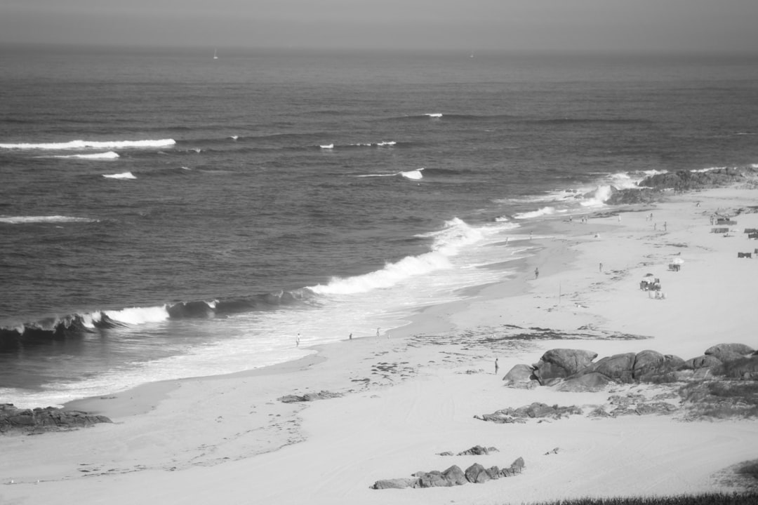 grayscale photo of sea waves