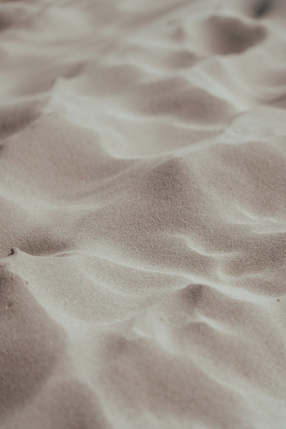 close up photo of brown sand