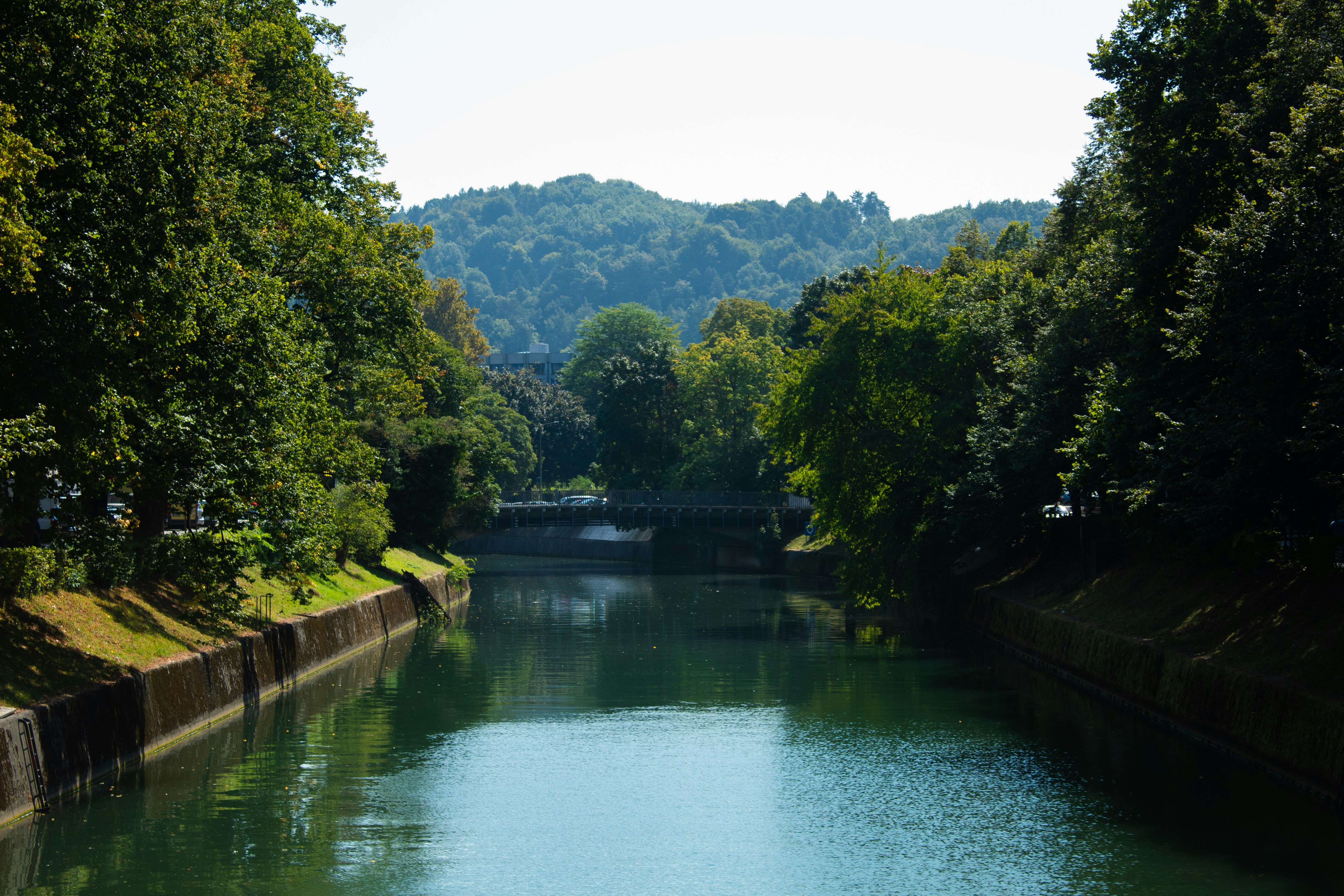 a body of water surrounded by trees and a bridge