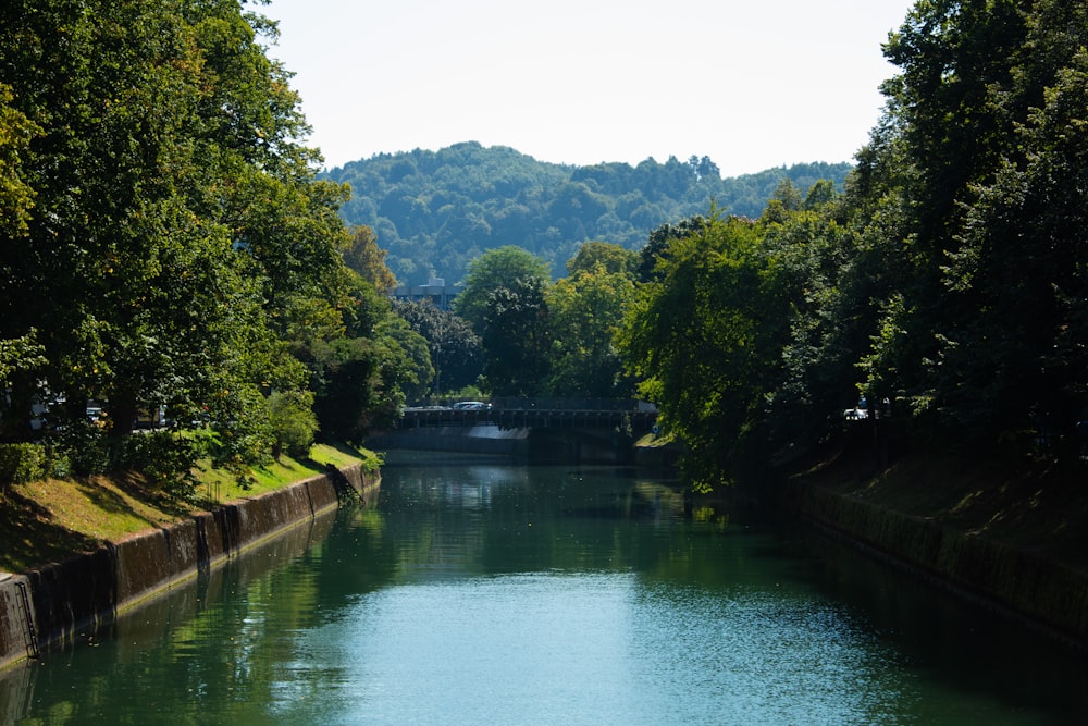 a body of water surrounded by trees and a bridge