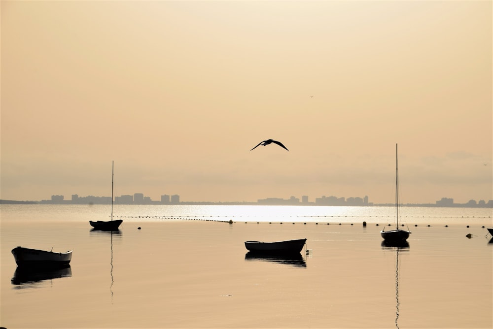 a group of boats floating on top of a body of water