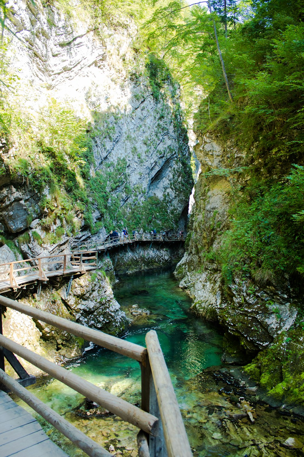 a wooden bridge over a river next to a lush green forest