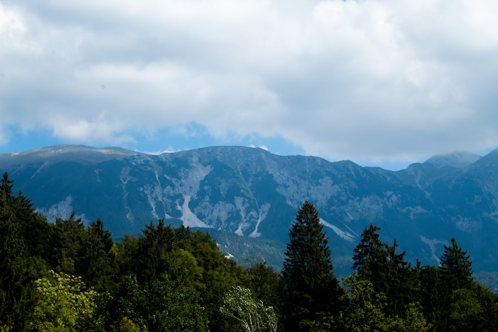 a view of a mountain range with trees in the foreground