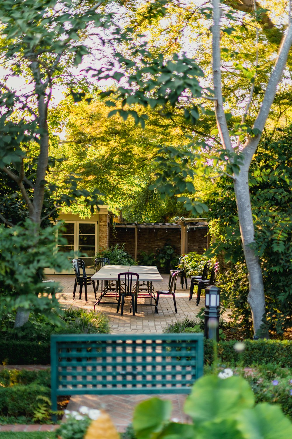brown wooden table and chairs near green tree during daytime