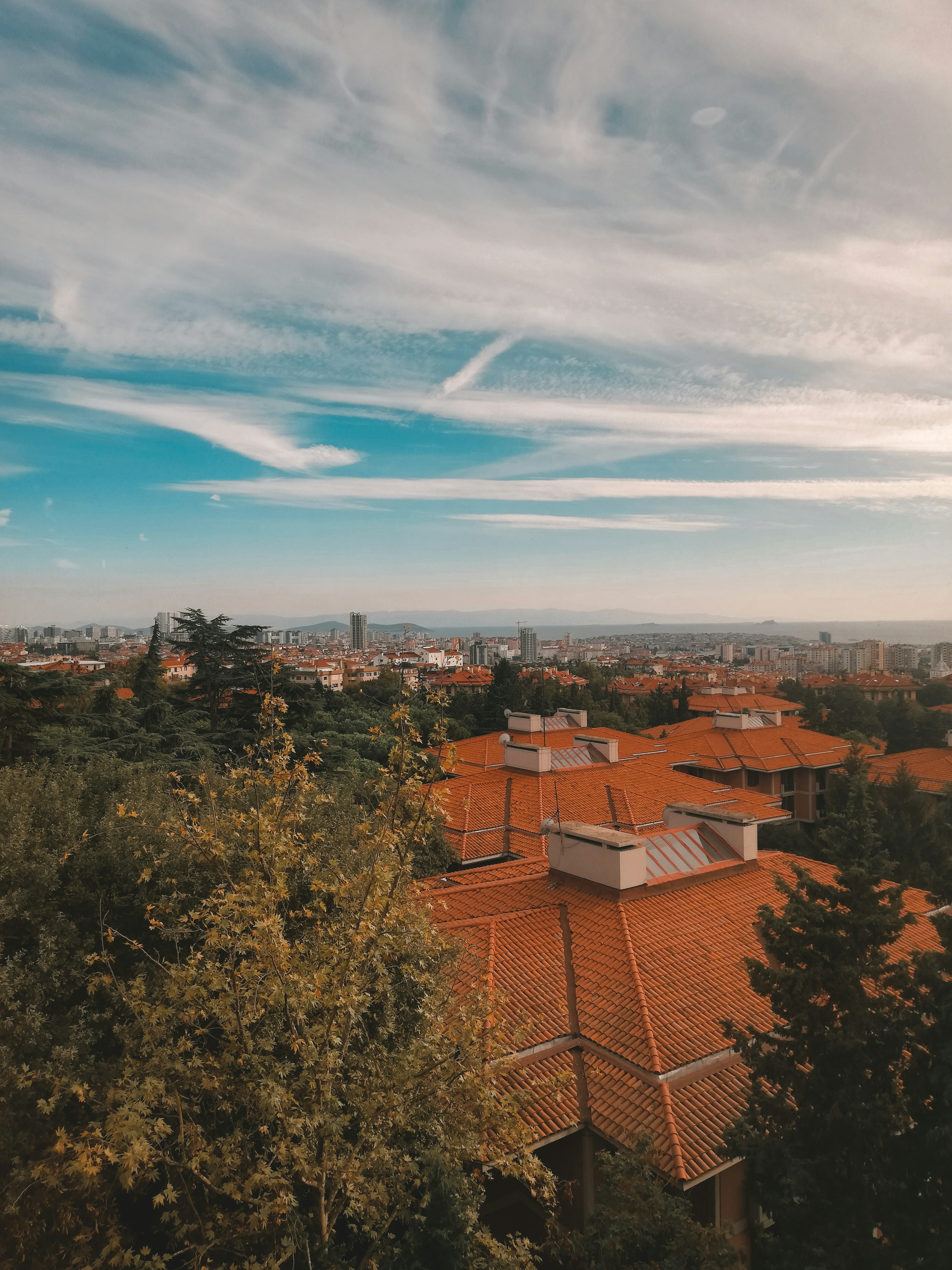 Photo by youcefbouzouina