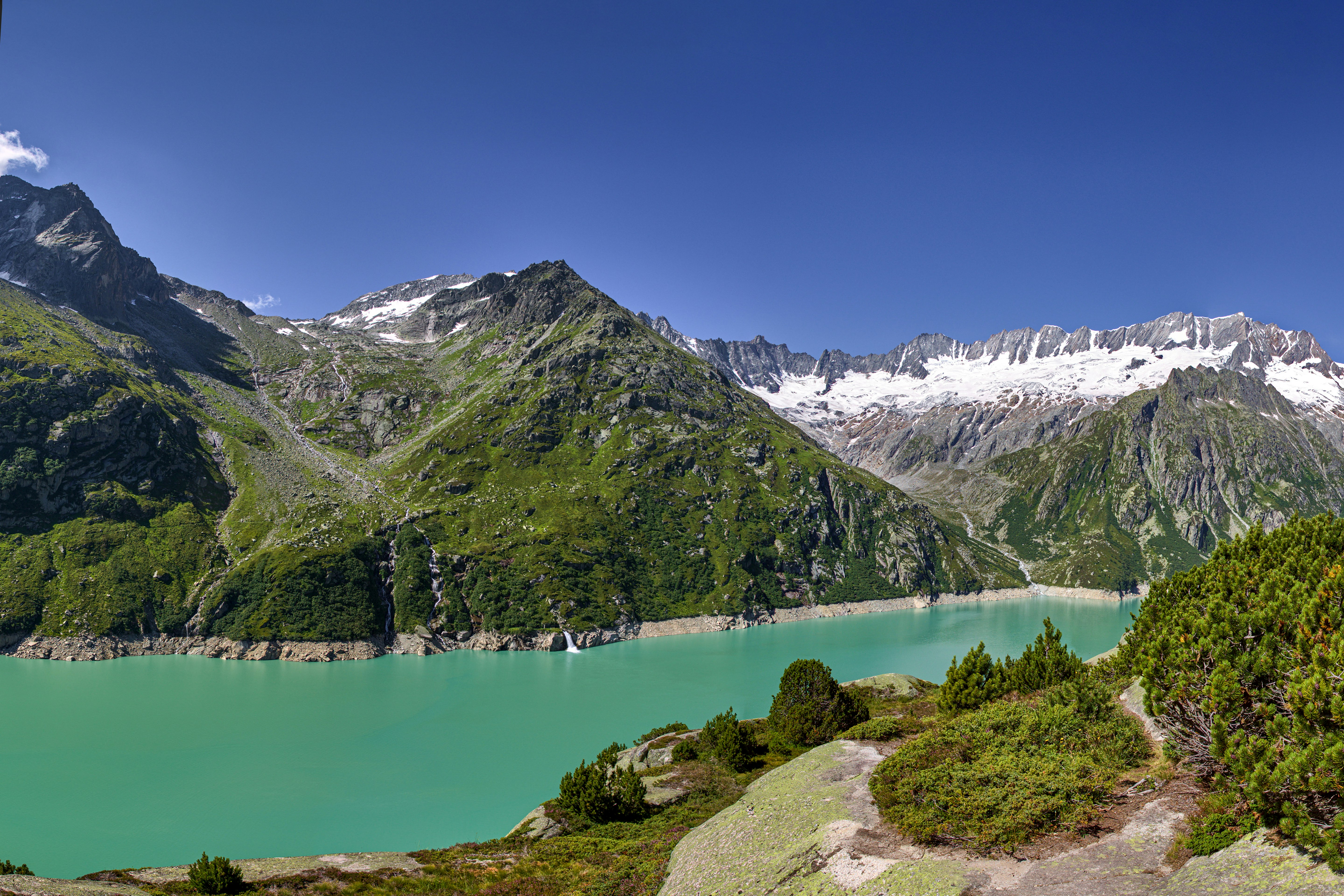 green trees on mountain near lake during daytime