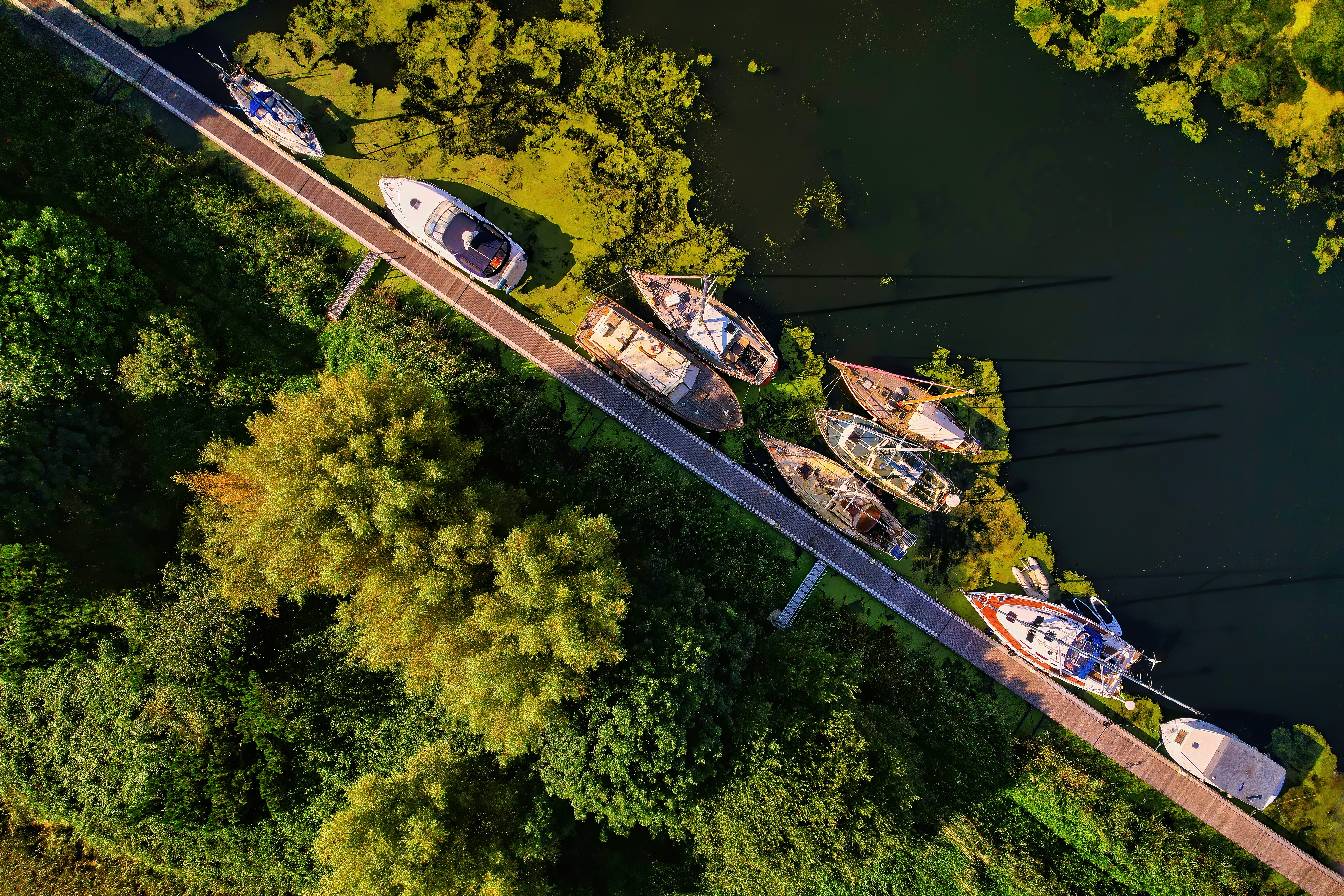 aerial view of white and blue boat on body of water during daytime