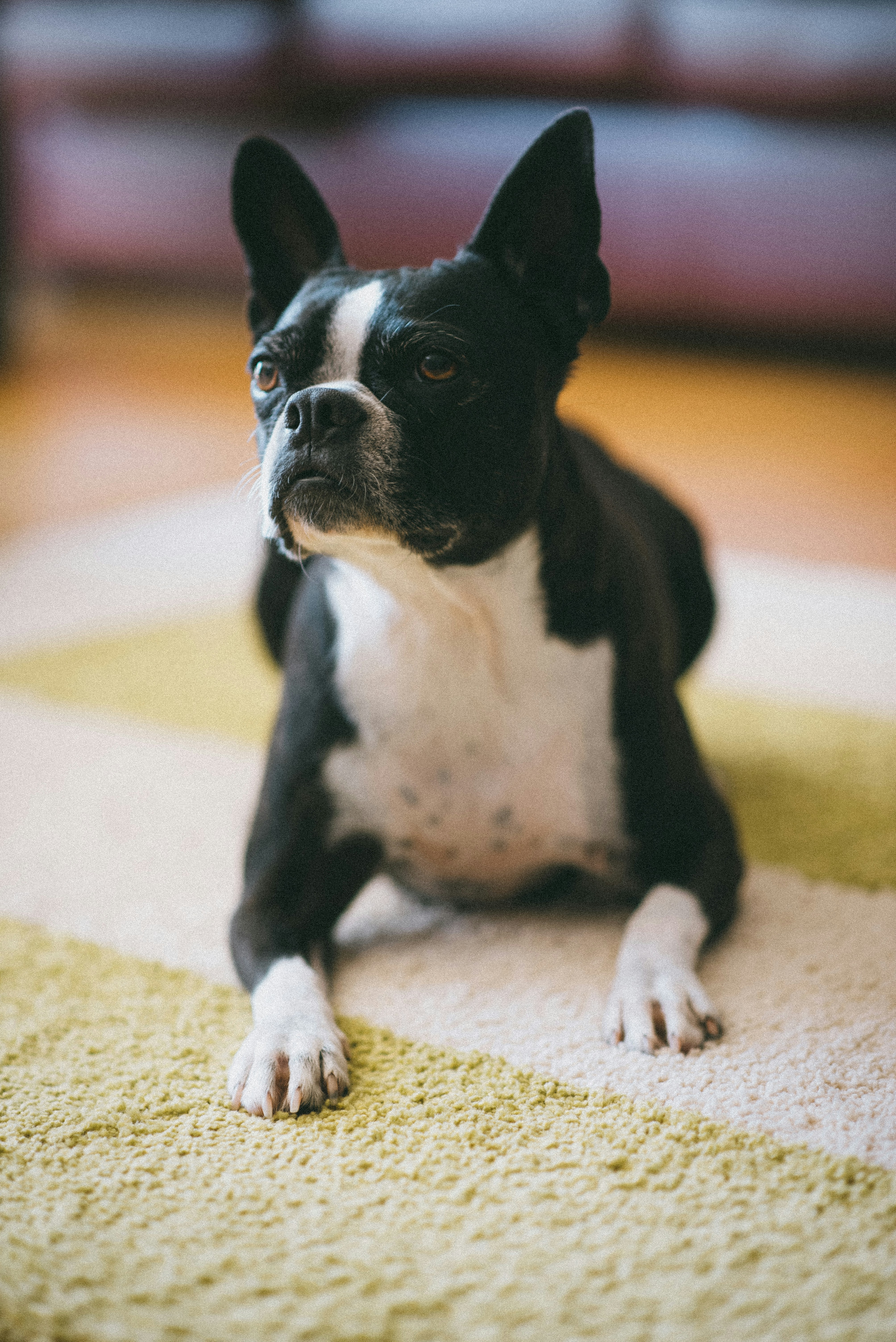 Photo by introspectivedsgn