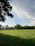 A serene field with scattered seeds falling onto different types of soil under a bright sky.