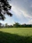 A serene field with scattered seeds falling onto different types of soil under a bright sky.