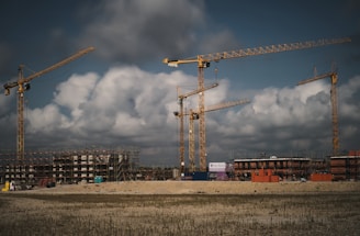 a group of cranes that are standing in the dirt