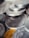 A close-up view of a pile of coins, primarily metallic in appearance with distinct engravings and details visible on the surface.