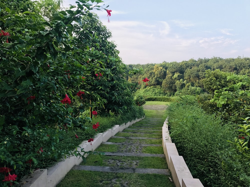 a stone path in the middle of a lush green field