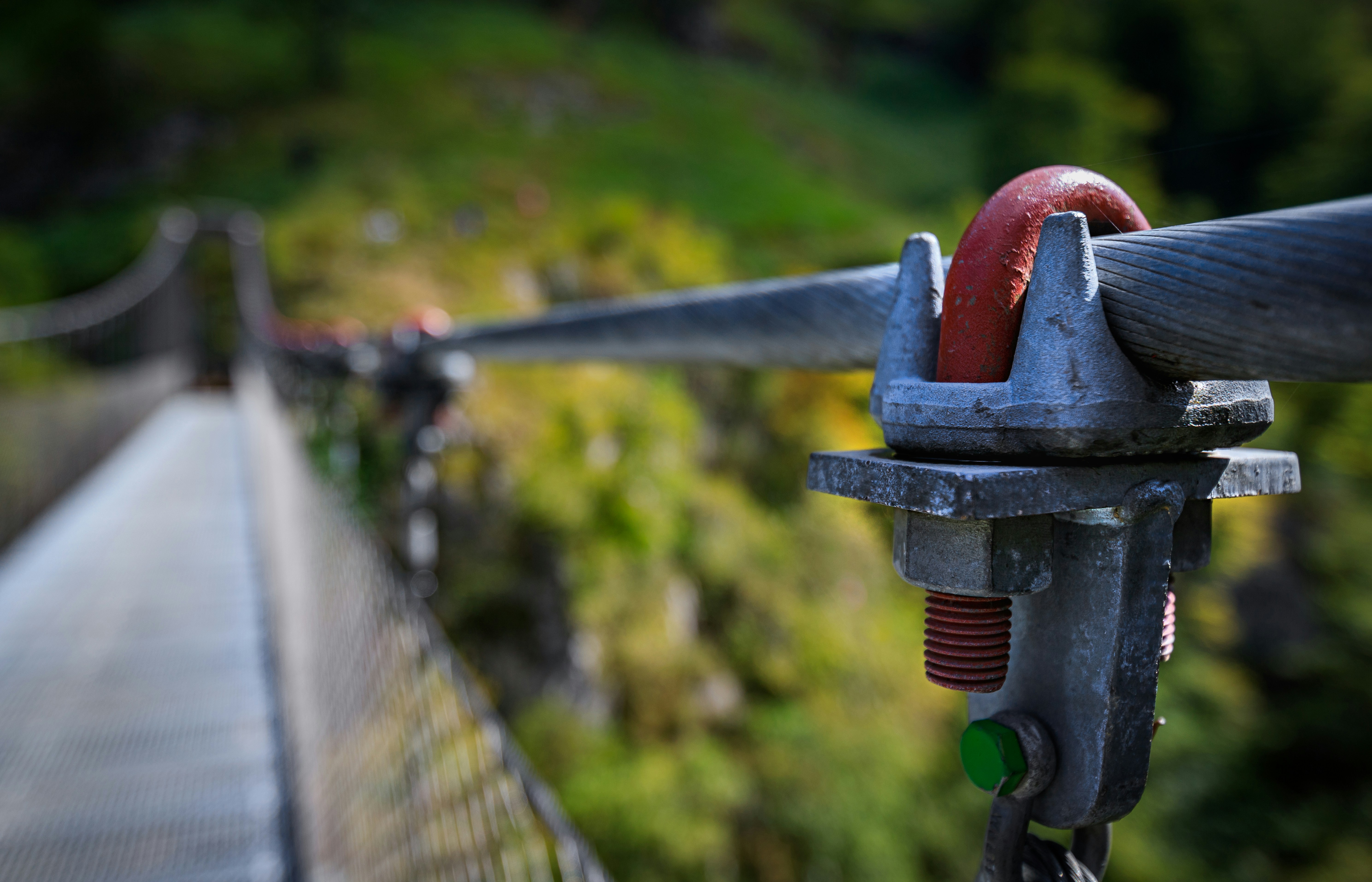 Photo by arizonanthony