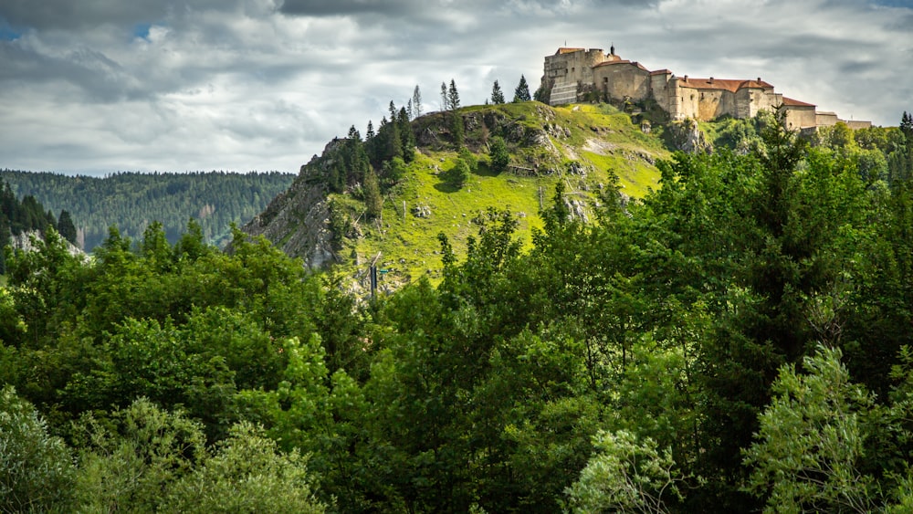 green trees on mountain under cloudy sky during daytime