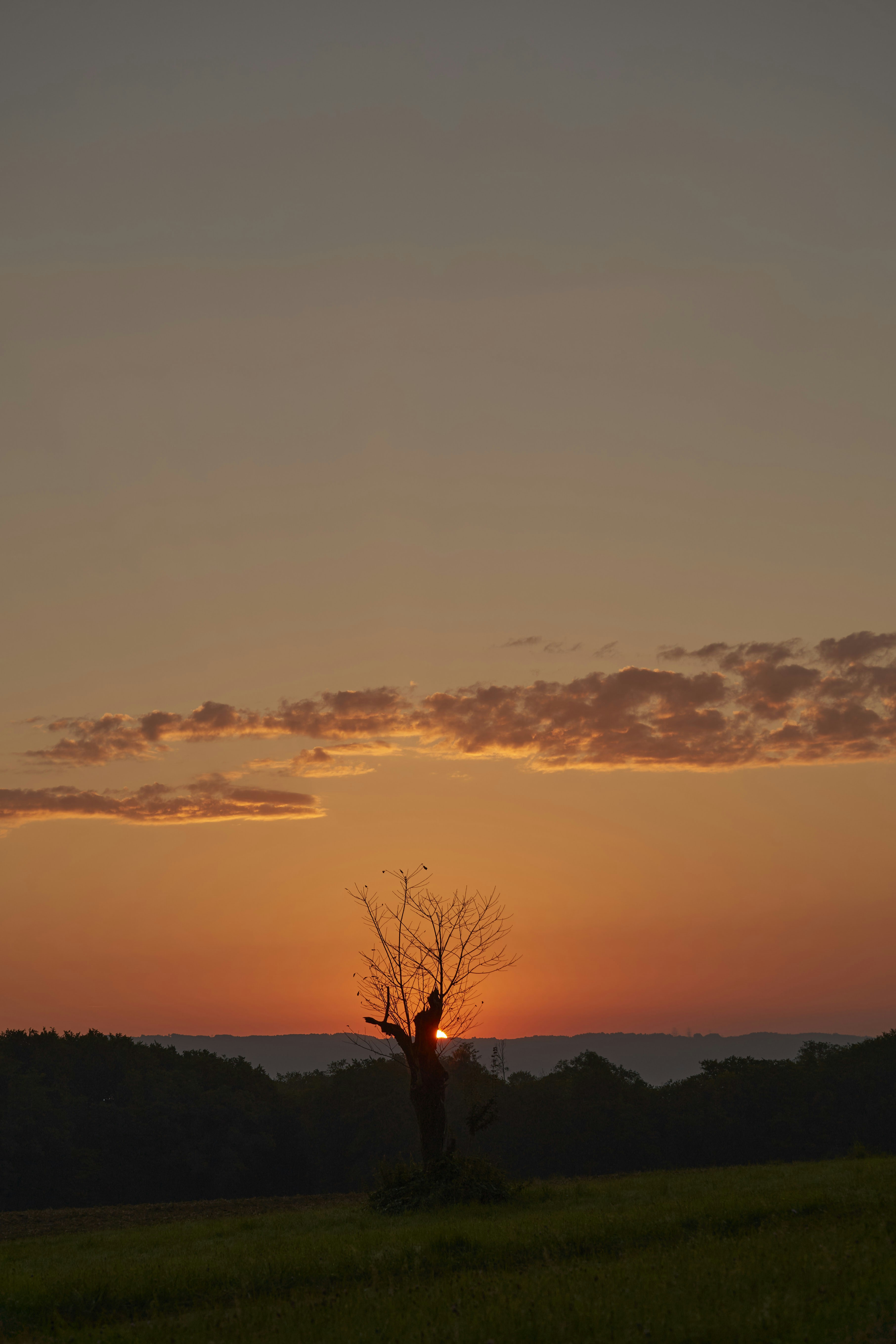 Photo by wolfgang_hasselmann