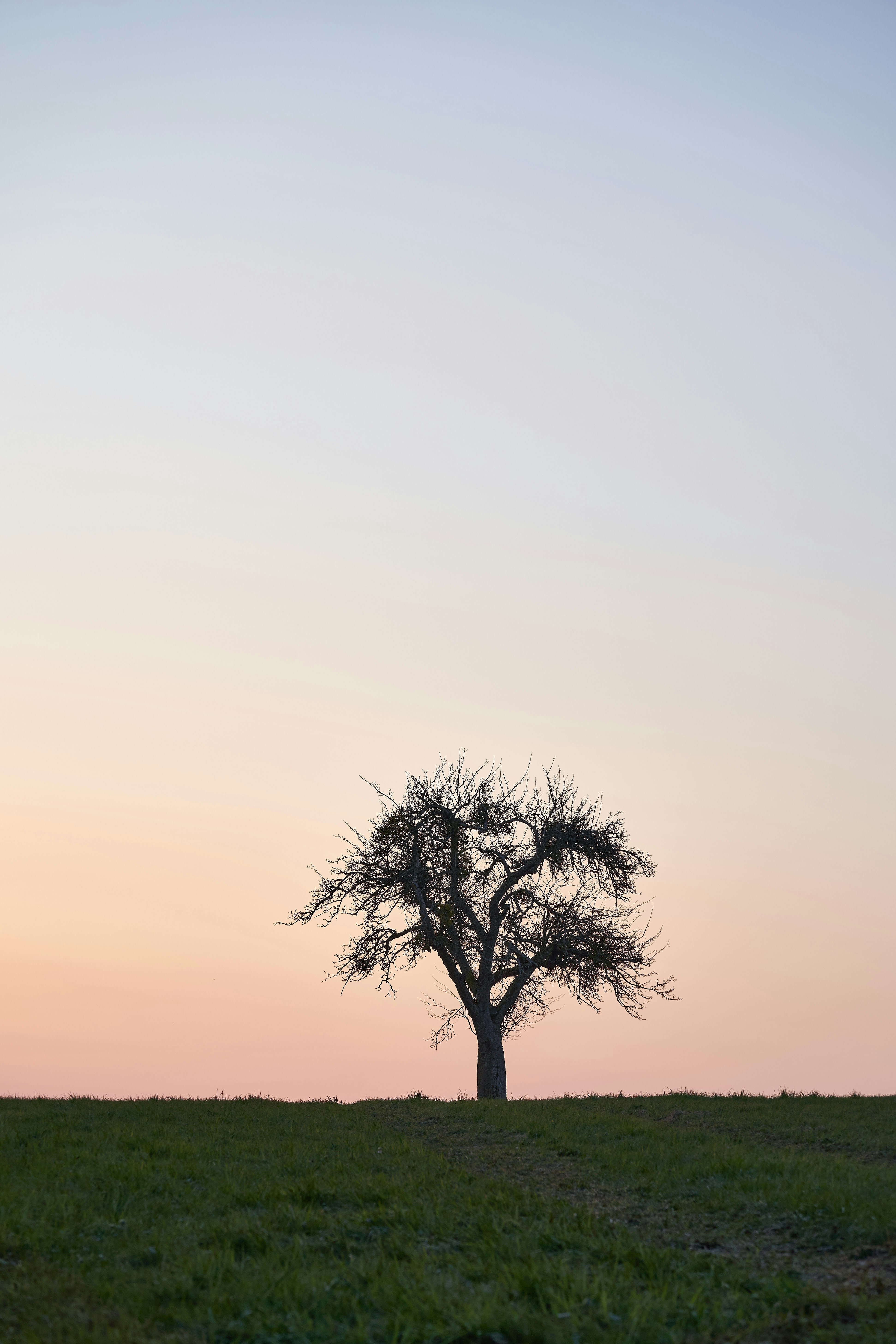 Photo by wolfgang_hasselmann