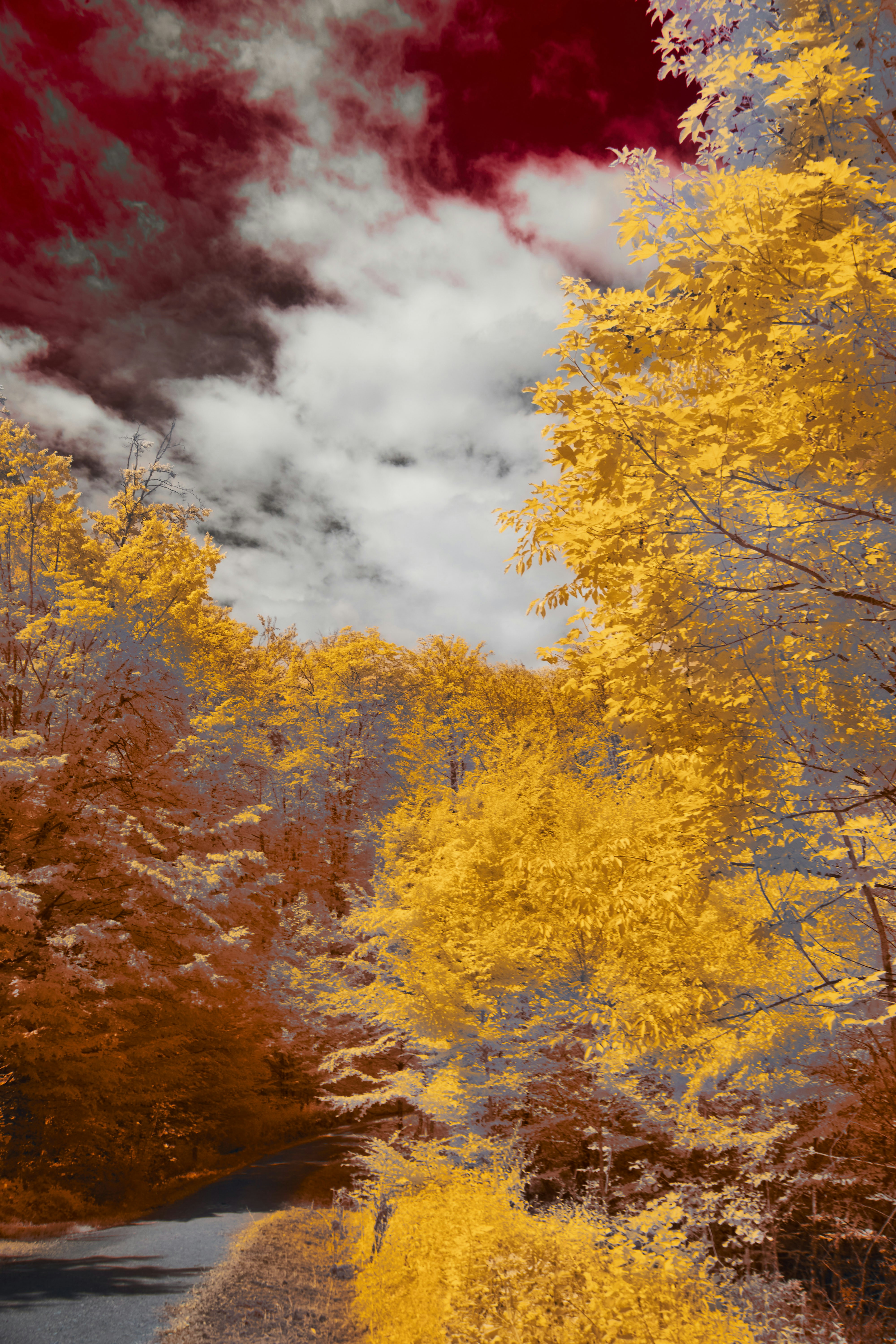 Photo by wolfgang_hasselmann