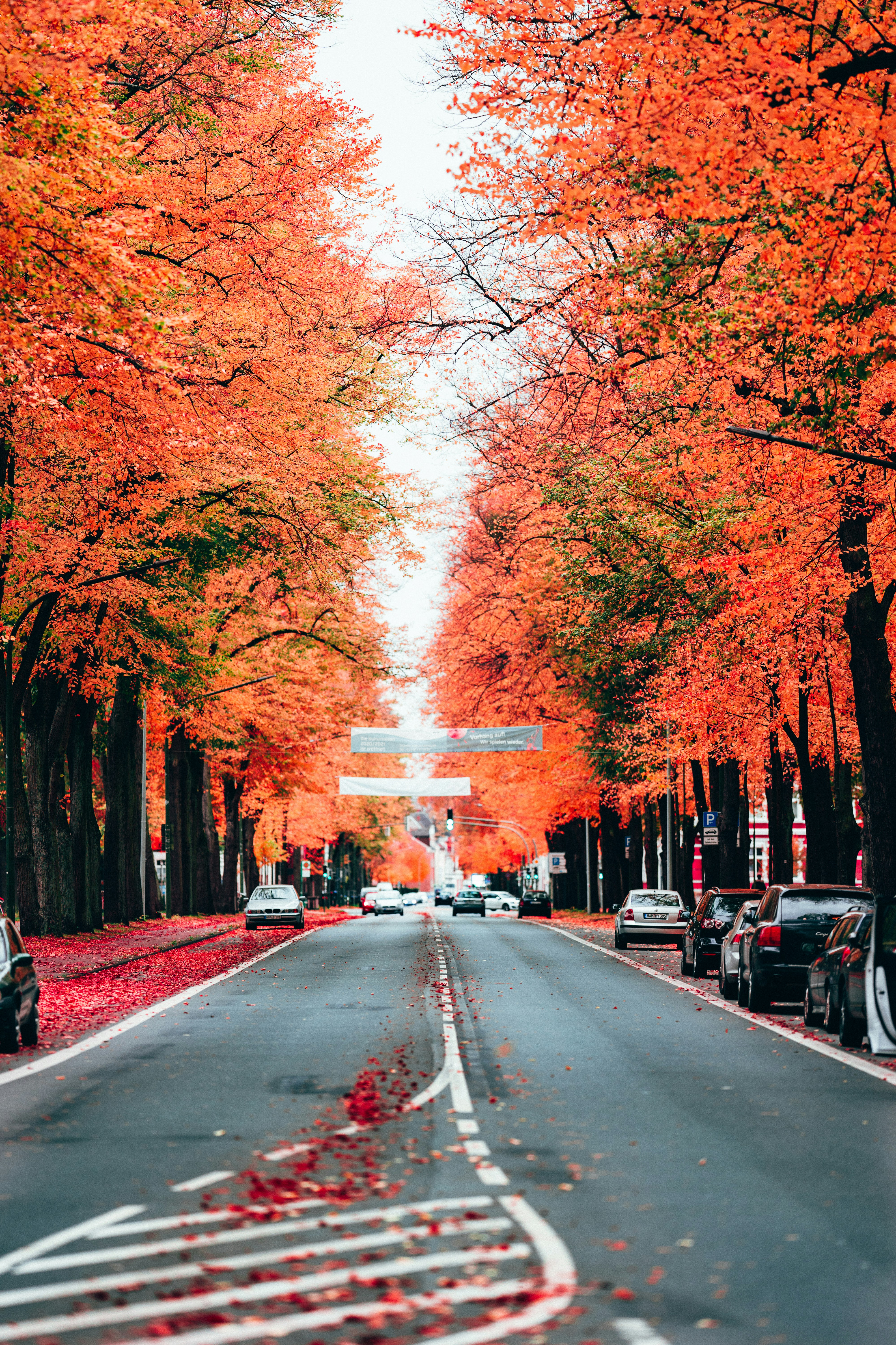 Photo by omarvellous14