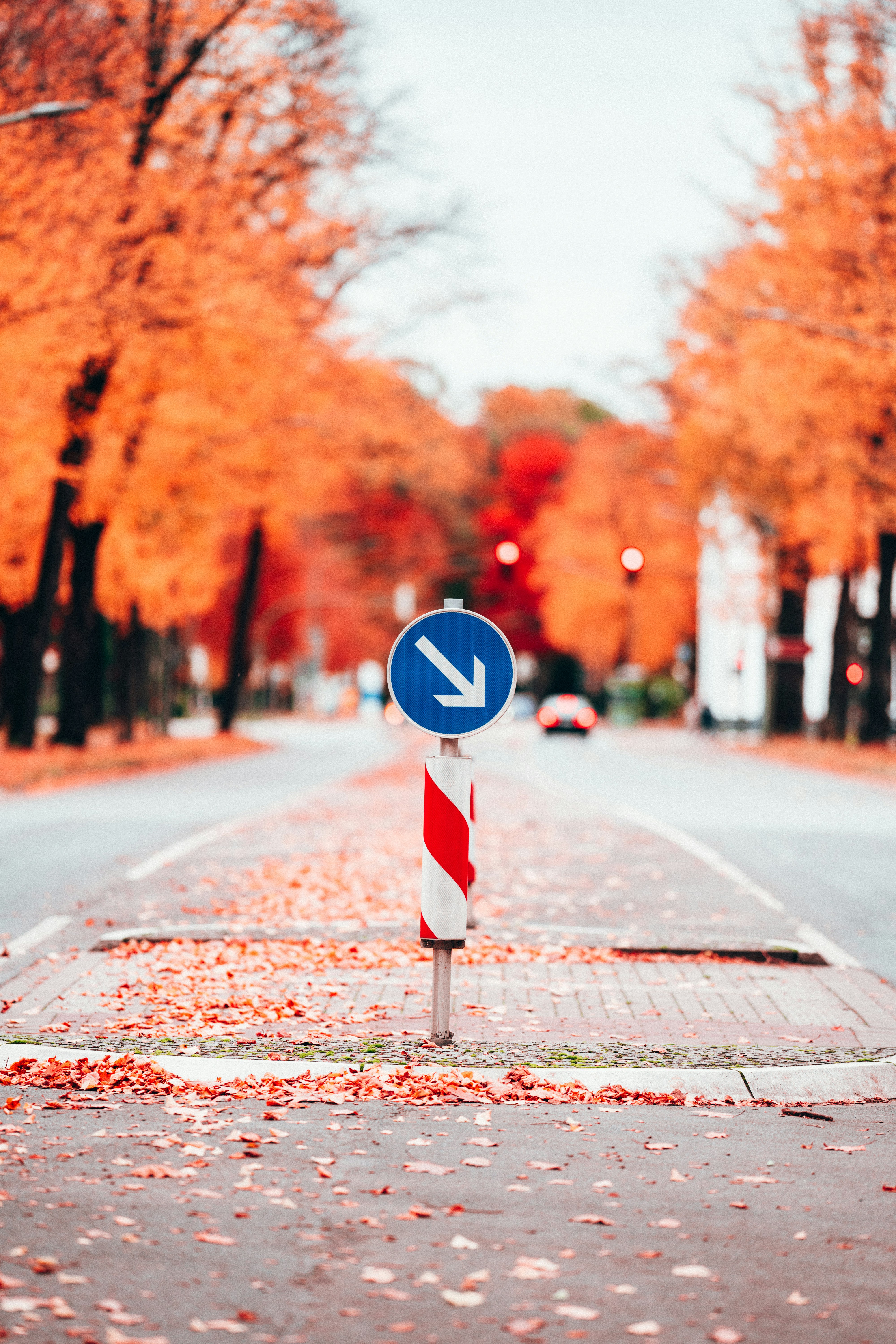 Photo by omarvellous14