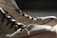 Close-up of a stylish pair of pre-loved sneakers on a wooden floor with soft natural light.