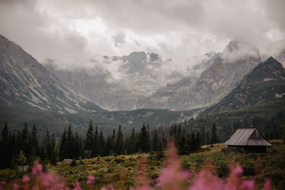 a house in the middle of a field with mountains in the background