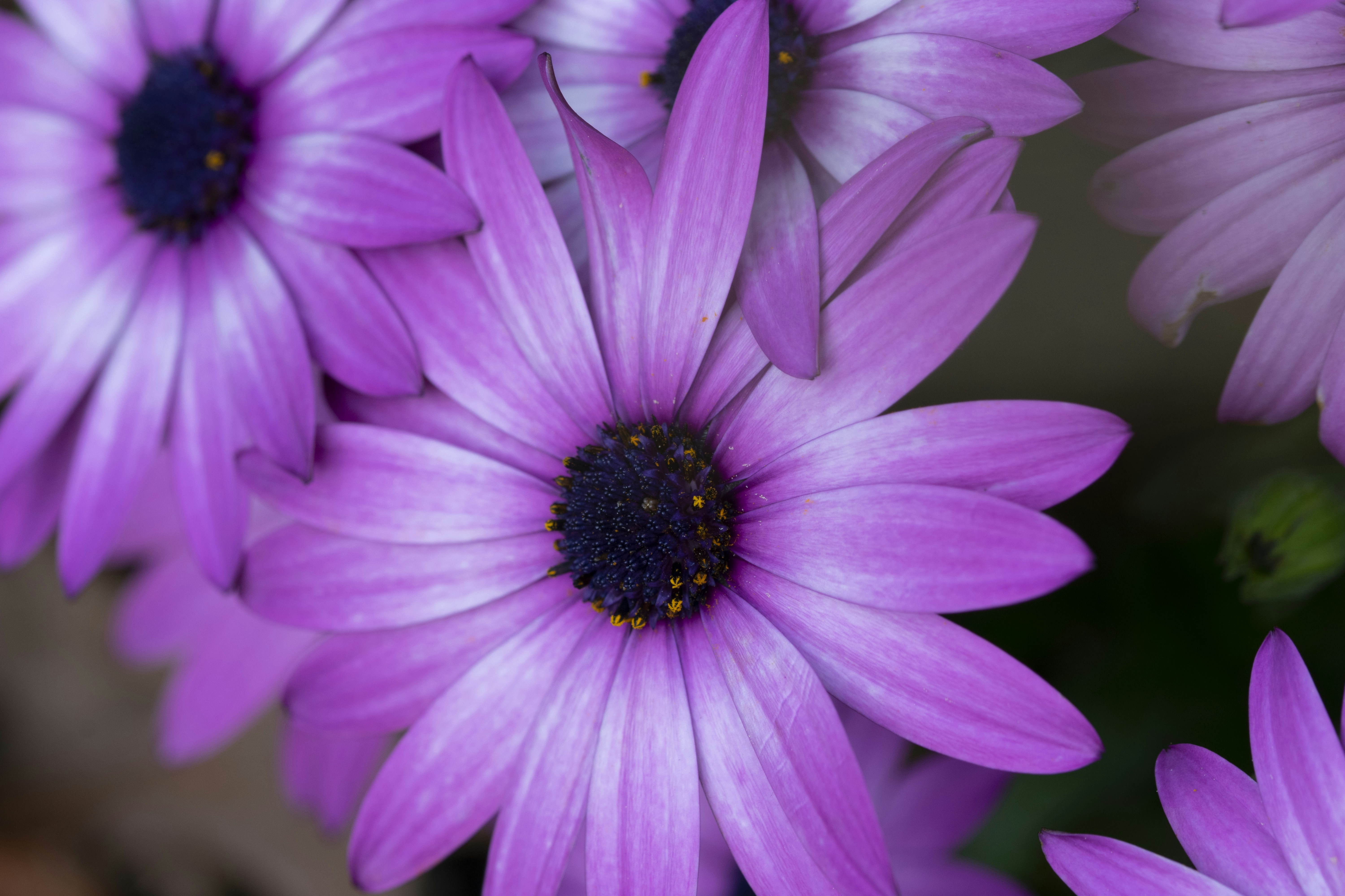 Photo by ellephant_photography