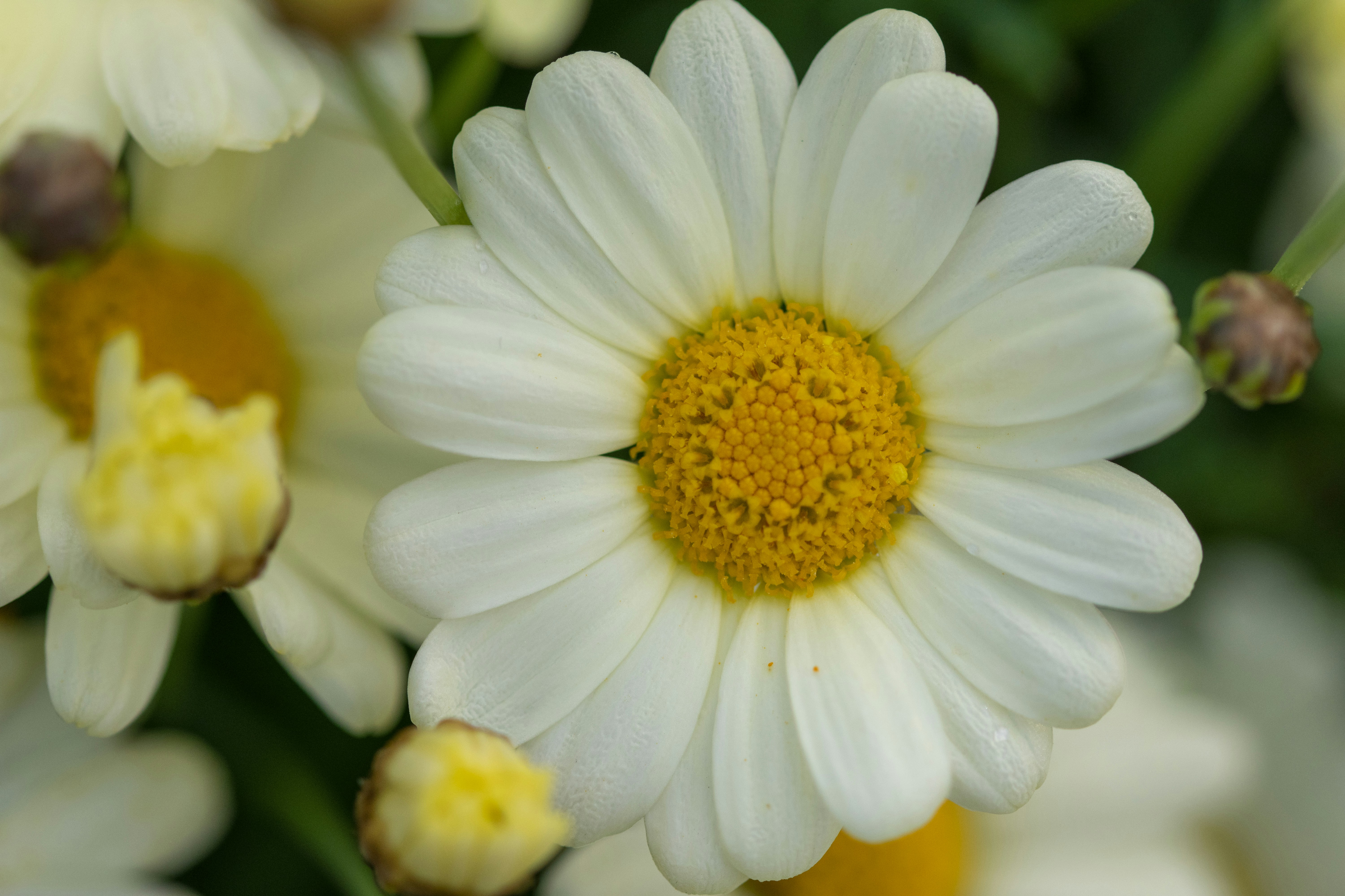 Photo by ellephant_photography