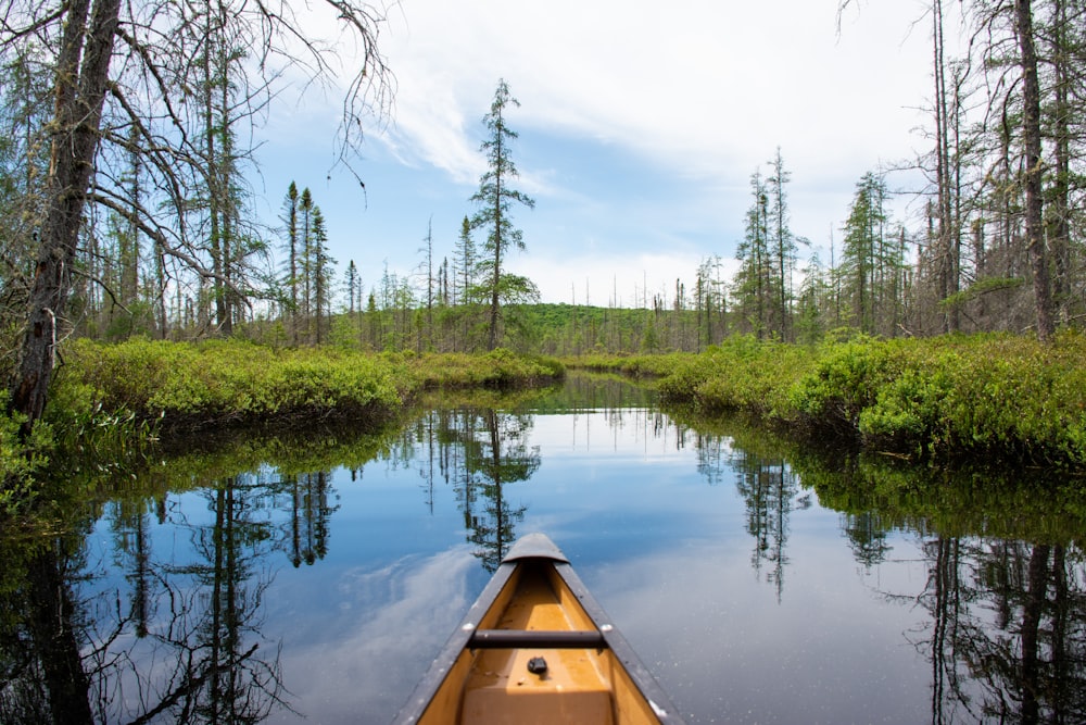 a canoe is going down a river in the woods