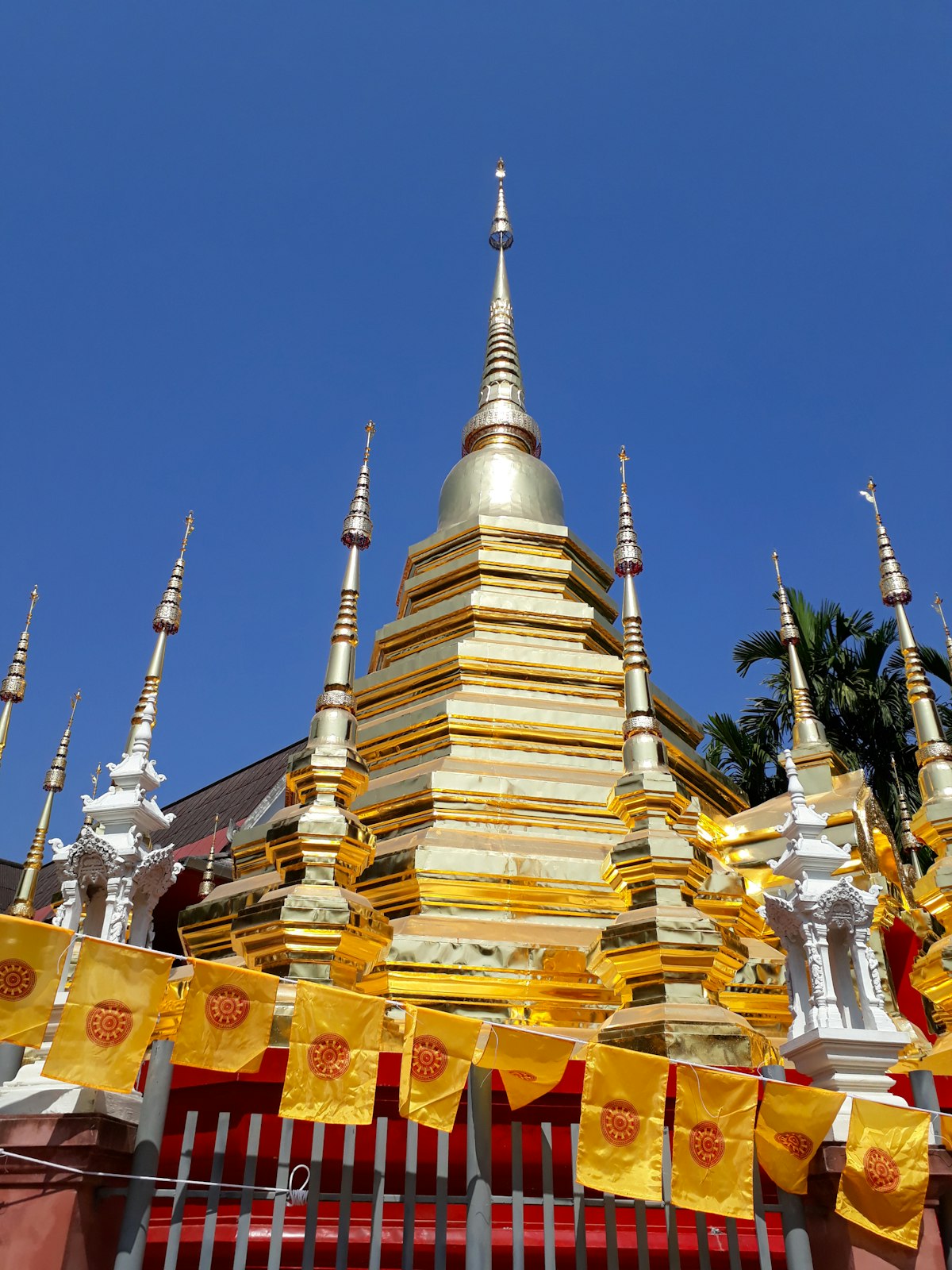Old City Chiang Mai — the golden chedi of Wat Phan Tao rising above the walled city