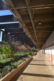 A wide shot of a utility corridor showing neatly maintained vegetation and clear access paths.