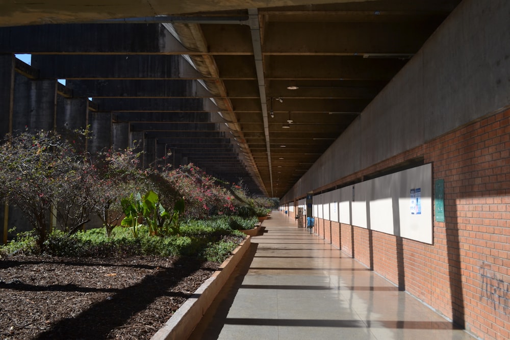 a brick building with a long line of plants on the side of it