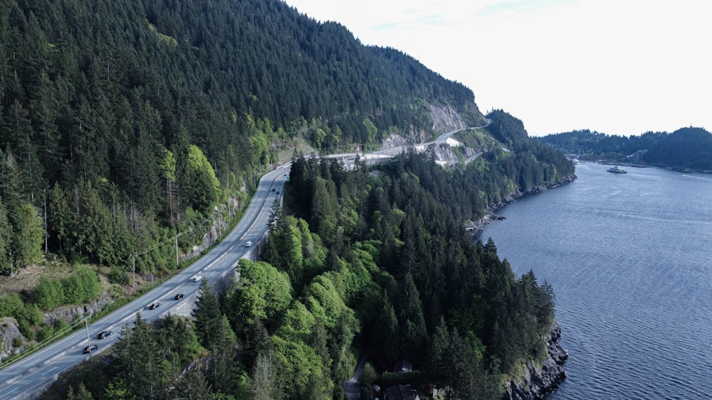 gray concrete road between green trees during daytime