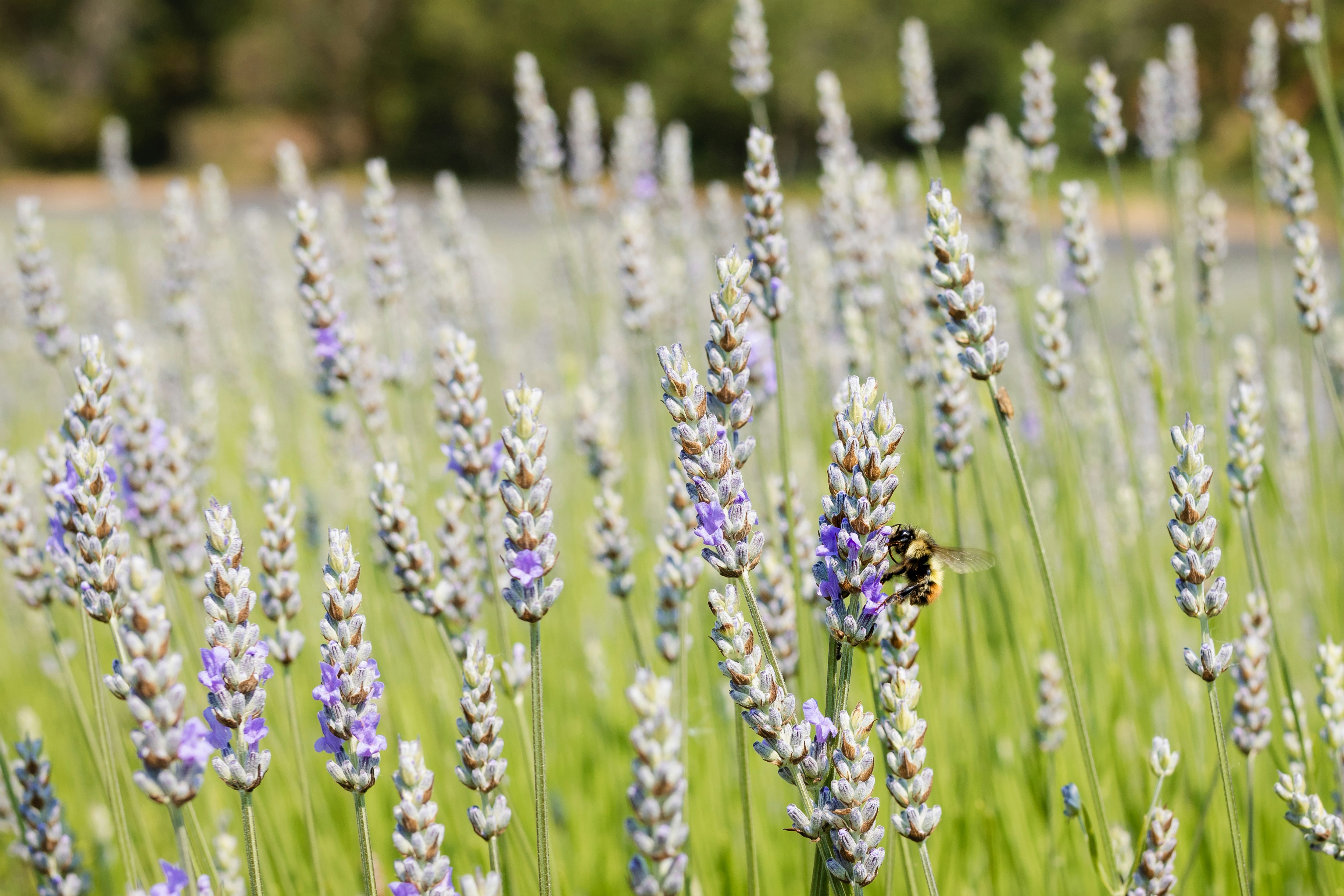 Photo by lydiavenjohn