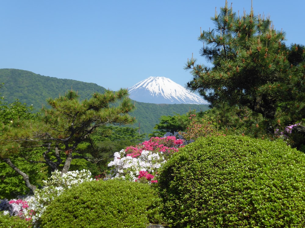 a view of a snow capped mountain in the distance