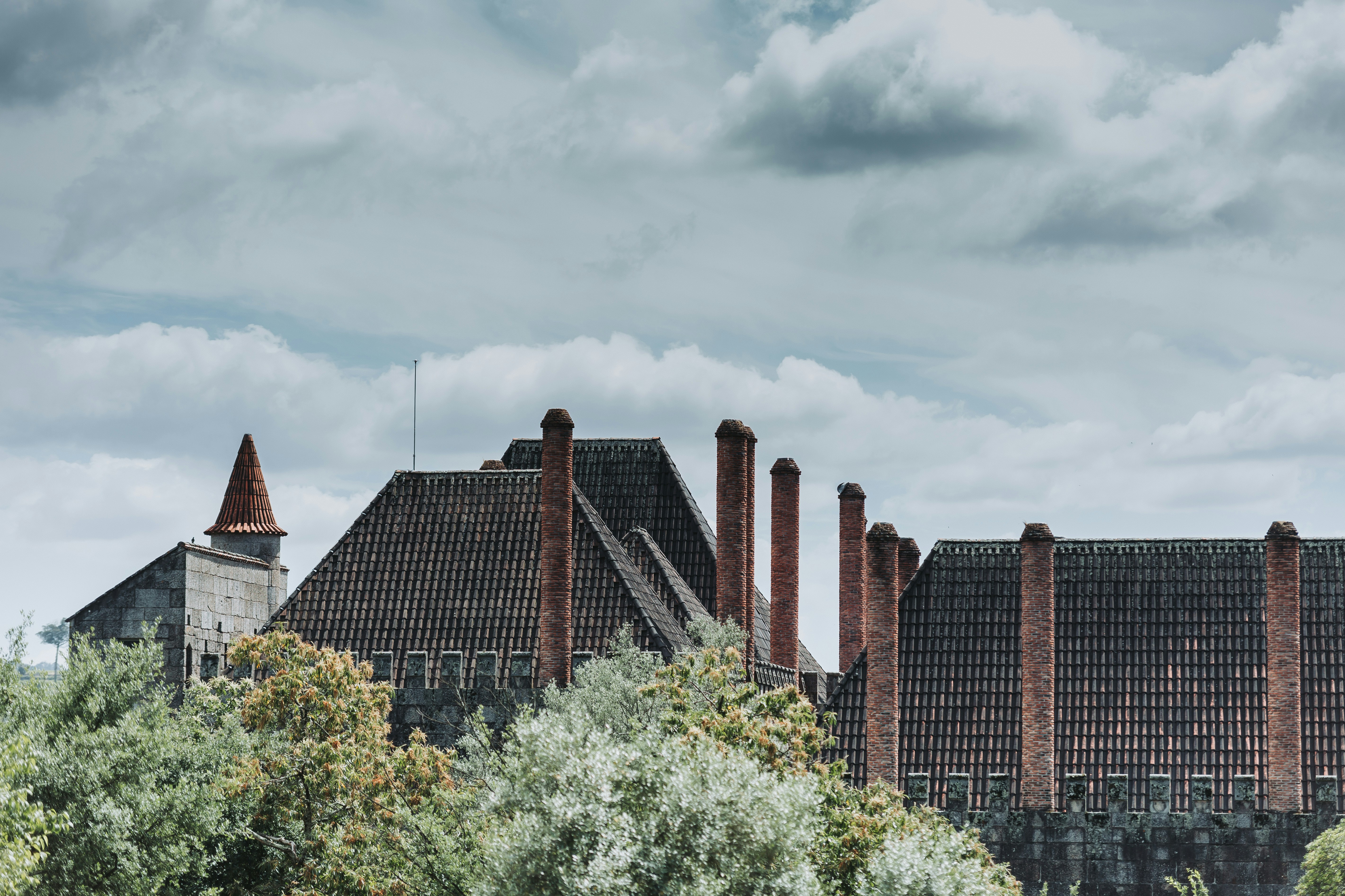 Photo by luis castro