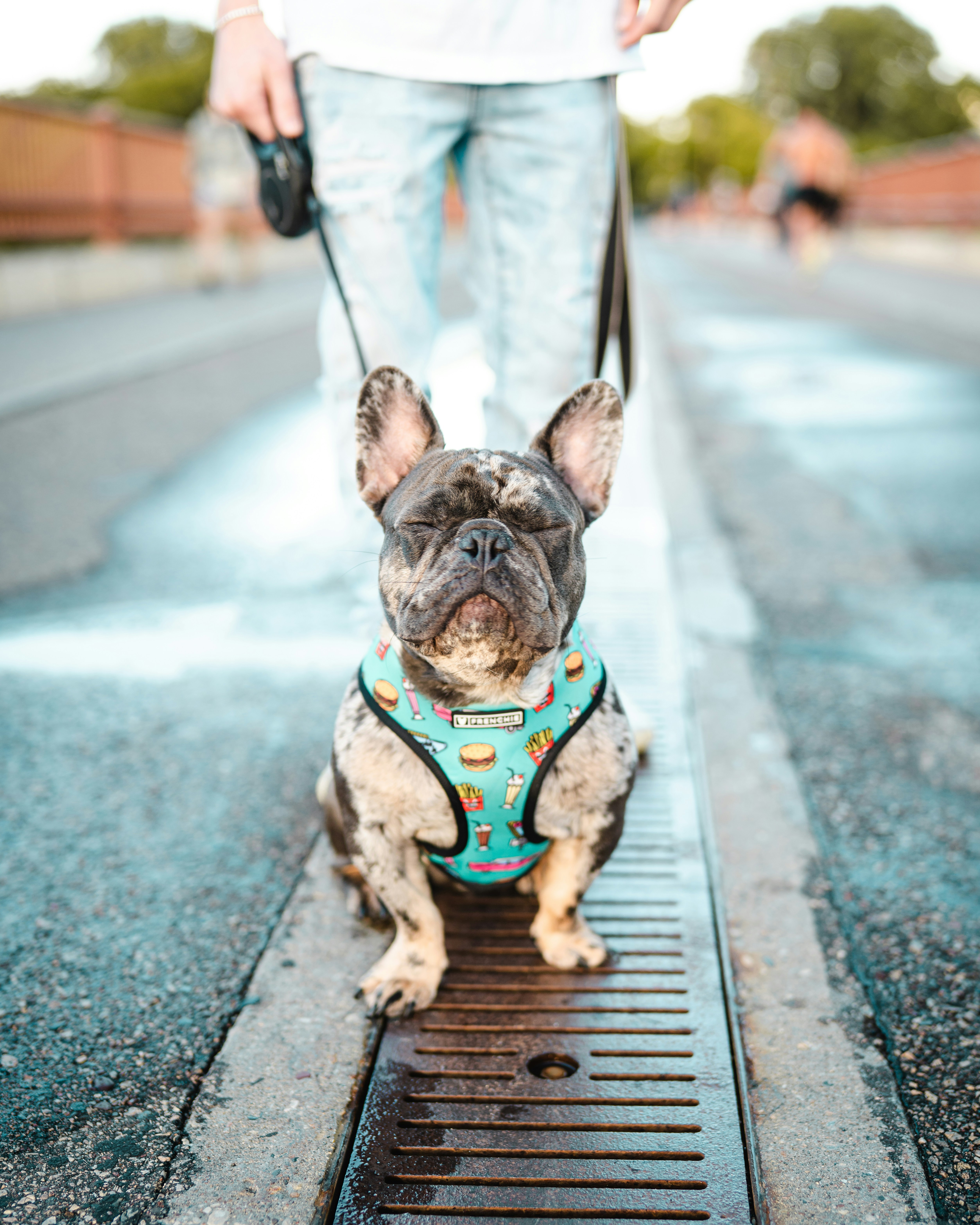 Photo by isthatbrock